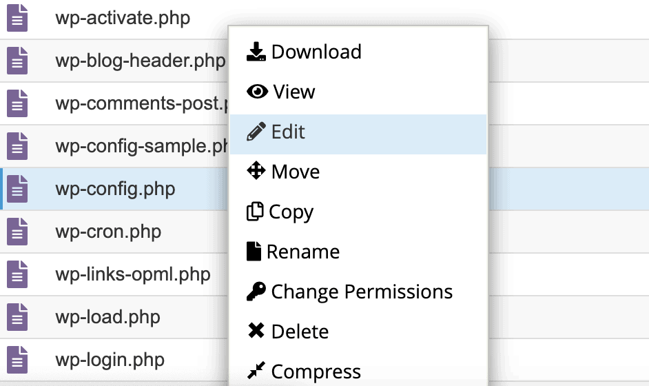 edit wp config file